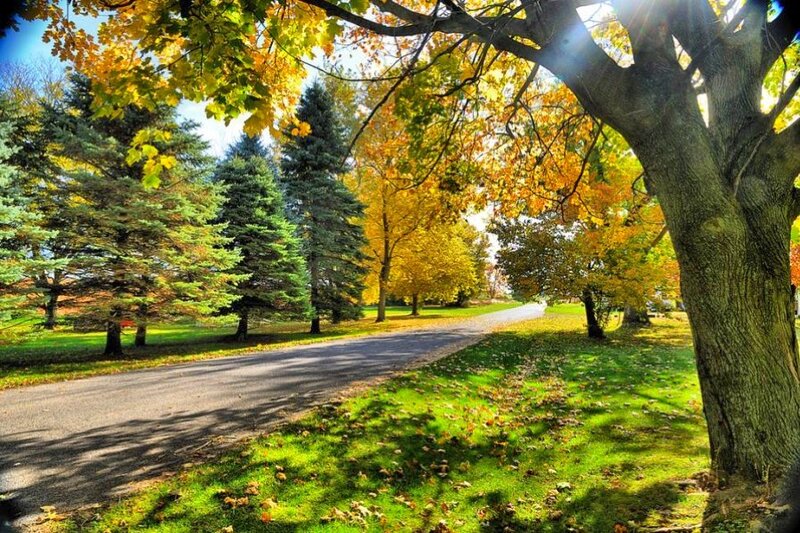 Autumn park path
