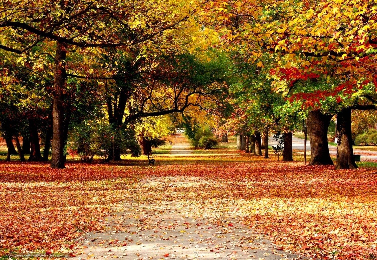 Autumn park path