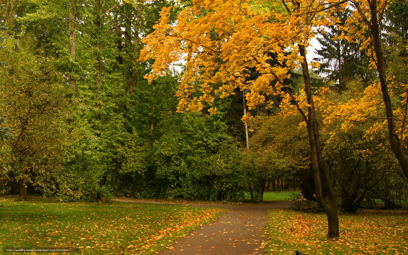 Autumn park path