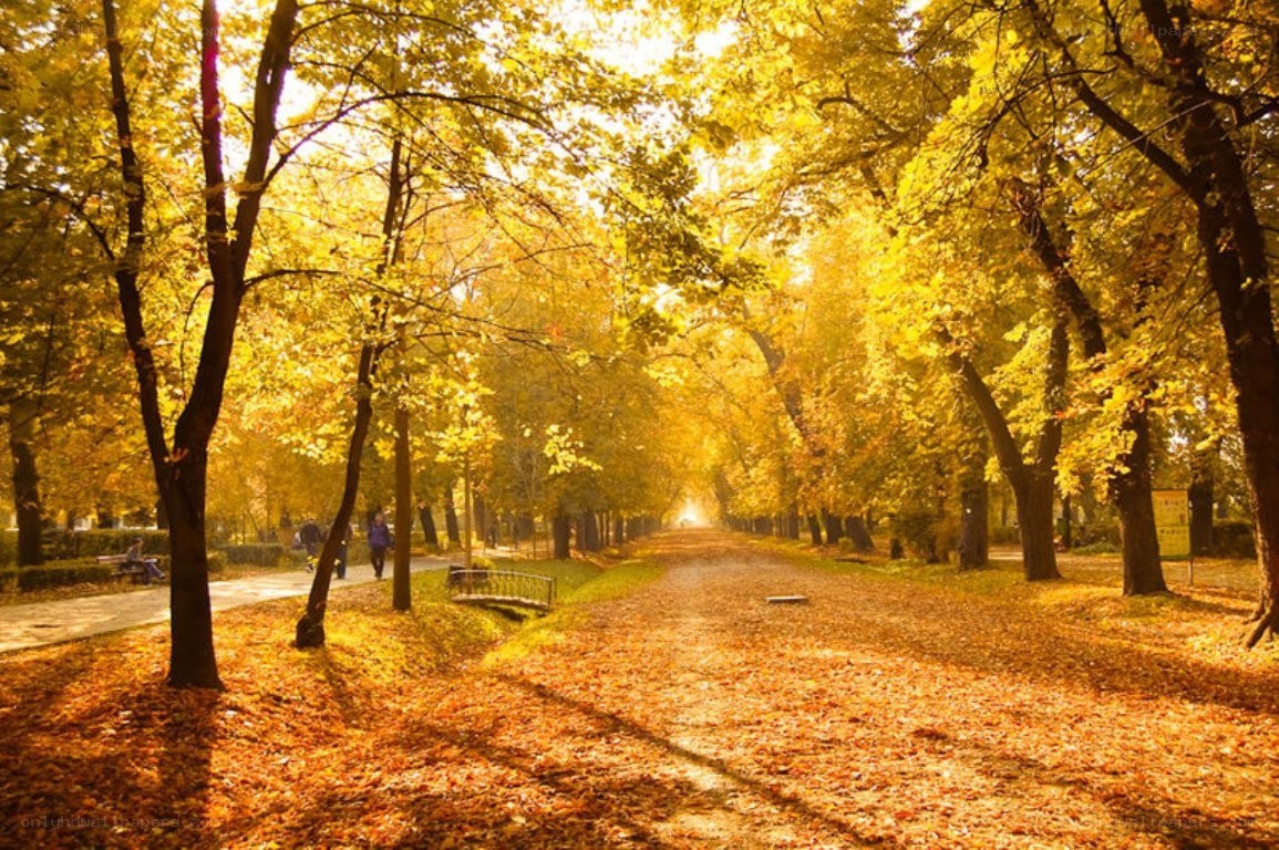 Autumn park path