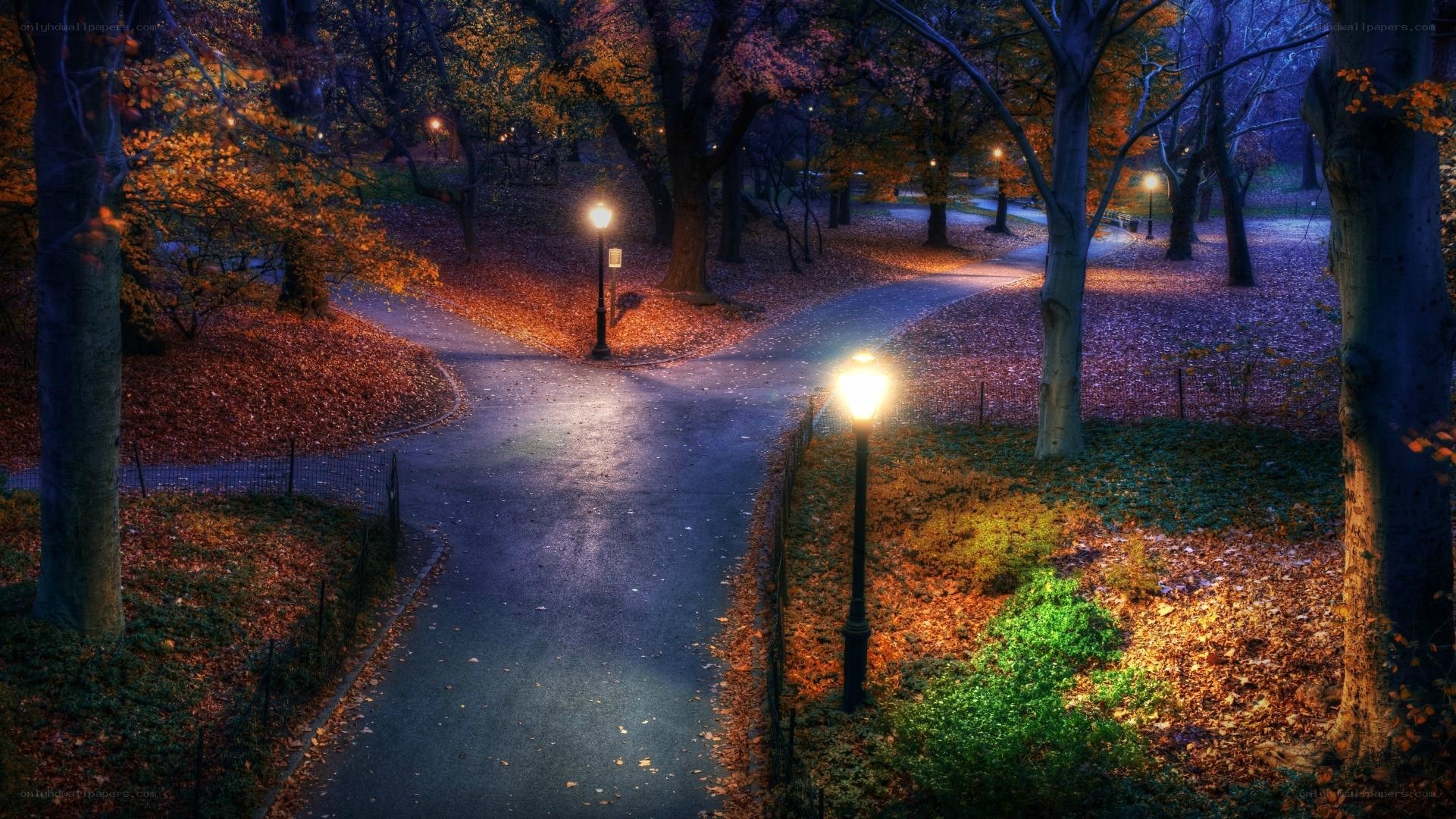 Autumn park path at dusk