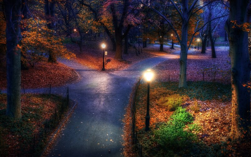 Autumn park path at dusk