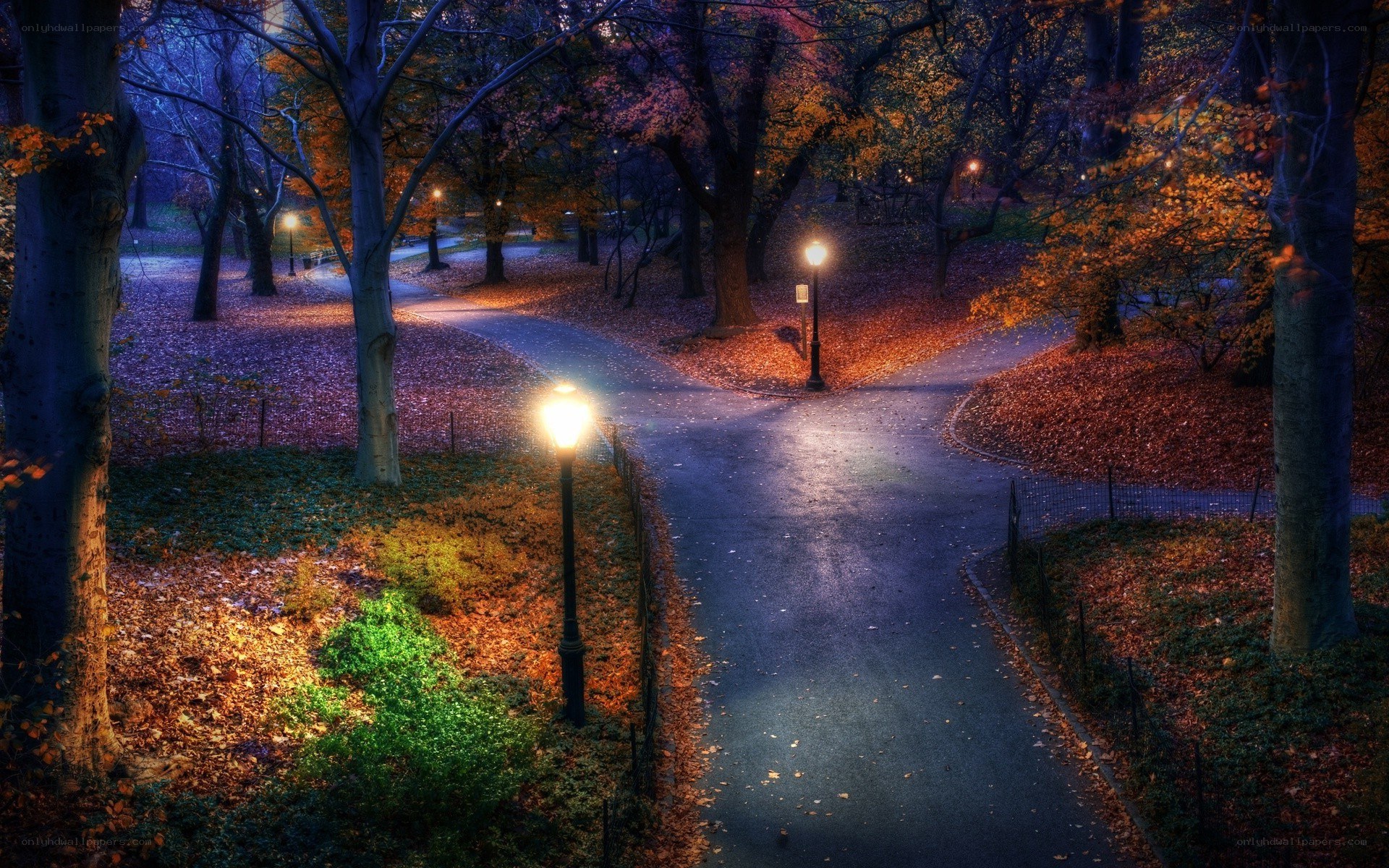Autumn park path at night