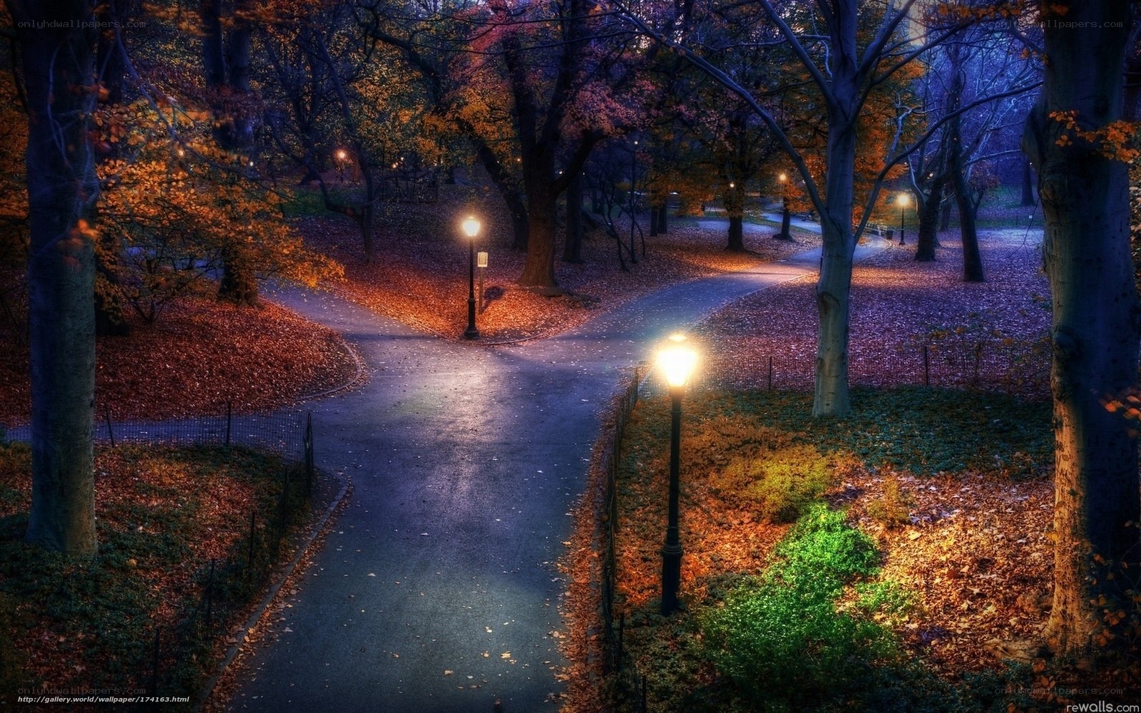 Autumn park path at night