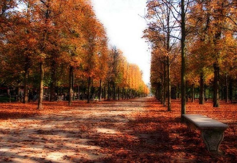 Autumn Park Path — Orange, Serene, Photograph