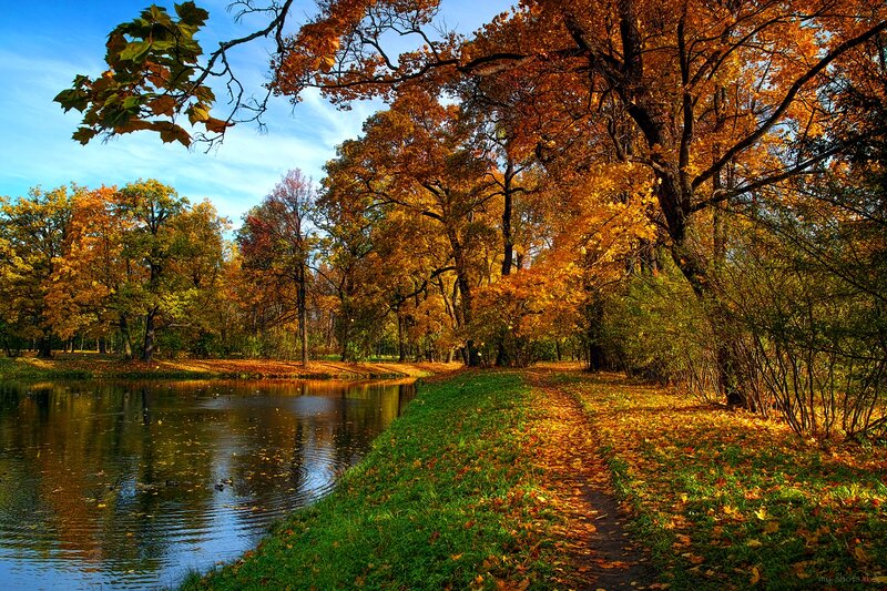 Autumn Park Path — Orange, Serene, Photograph, Trees, Pond