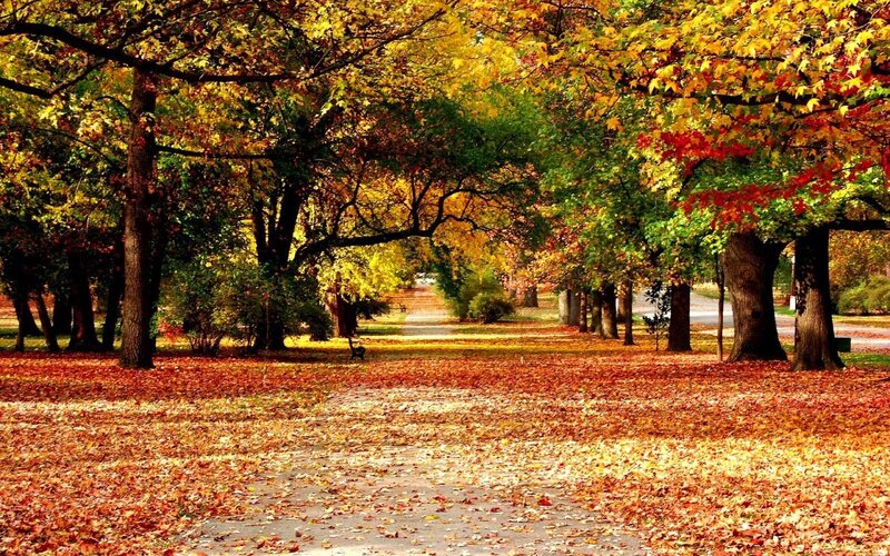 Autumn Park Path — Photograph