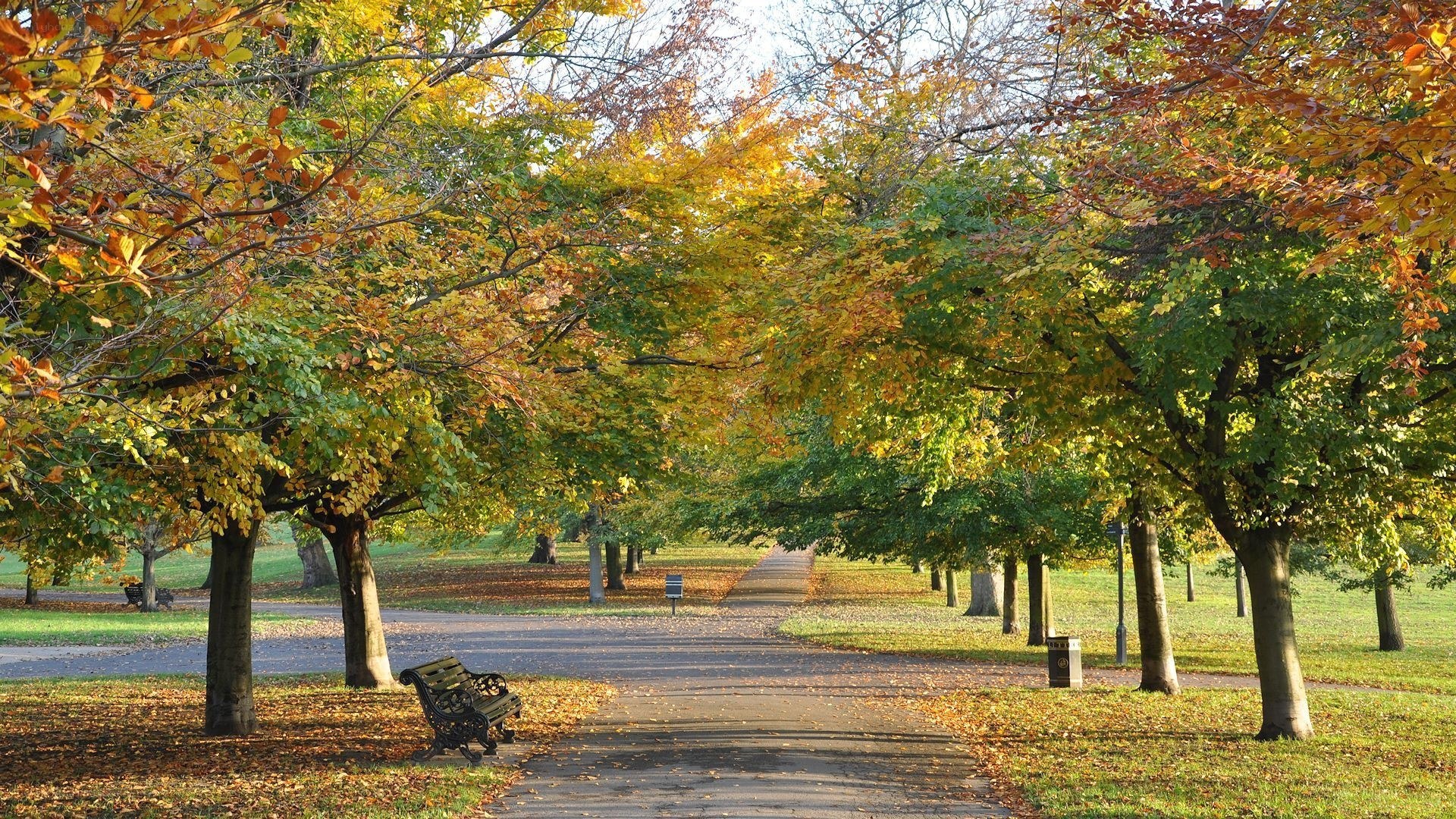Autumn park path with bench