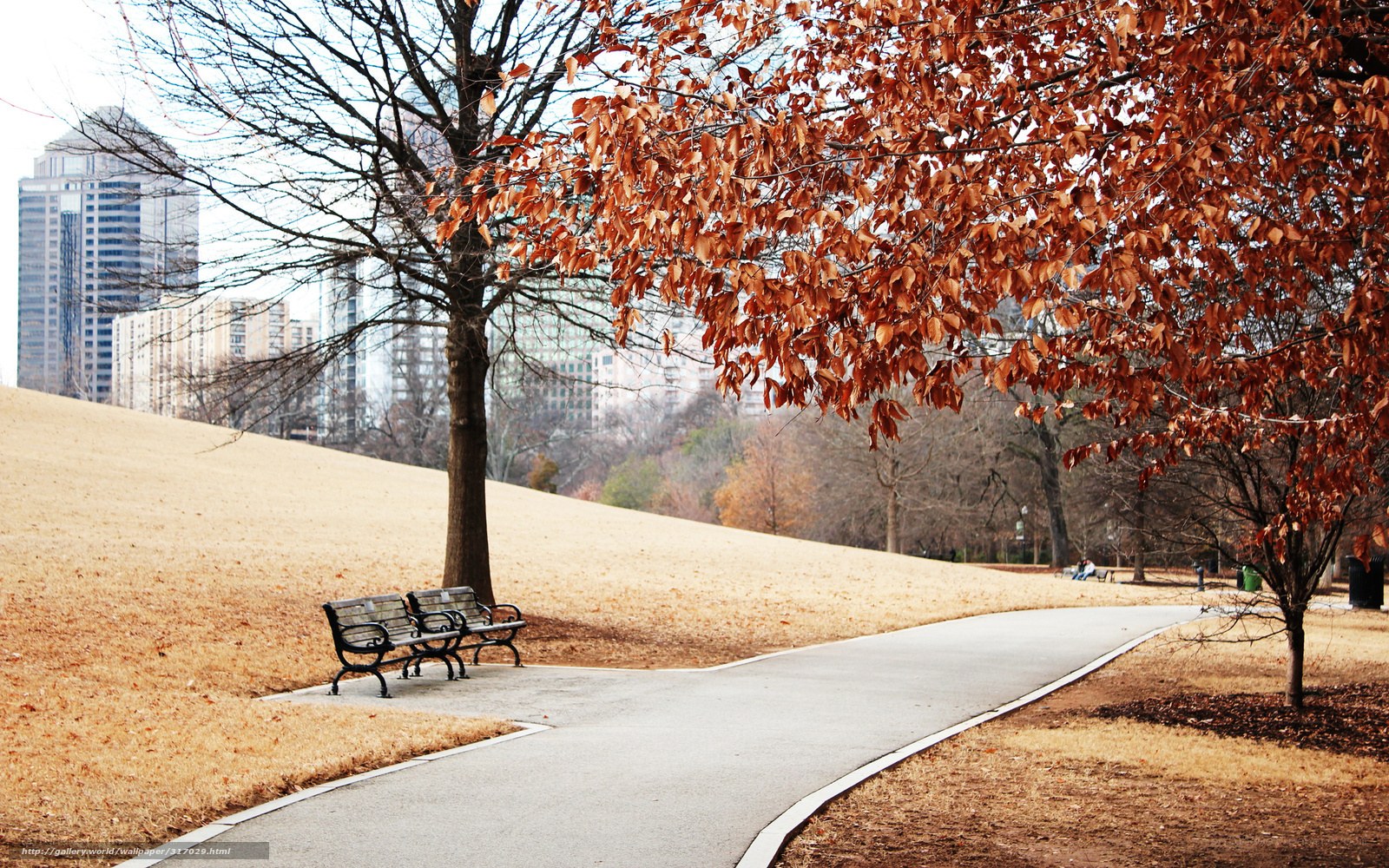 Autumn park path with city view