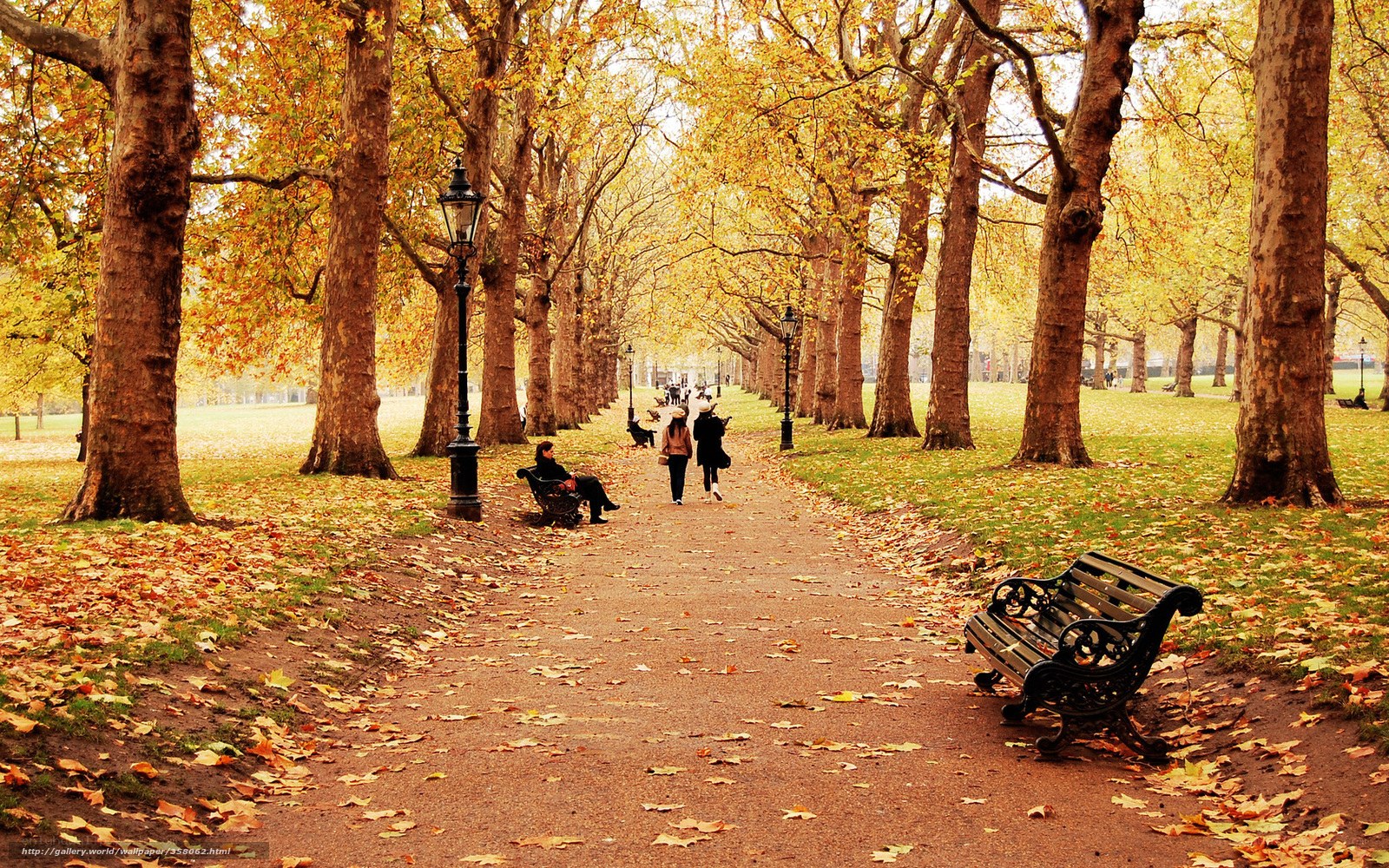 Autumn park path with fallen leaves