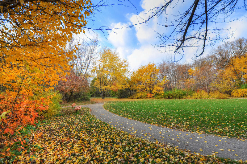 Autumn Park Path — Yellow, Serene, Photograph, Bench