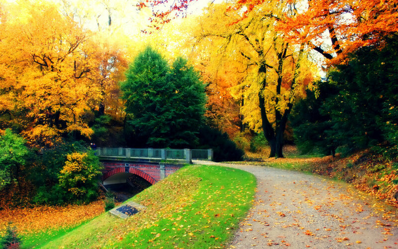 Autumn Park Path — Yellow, Serene, Photograph, Bridge