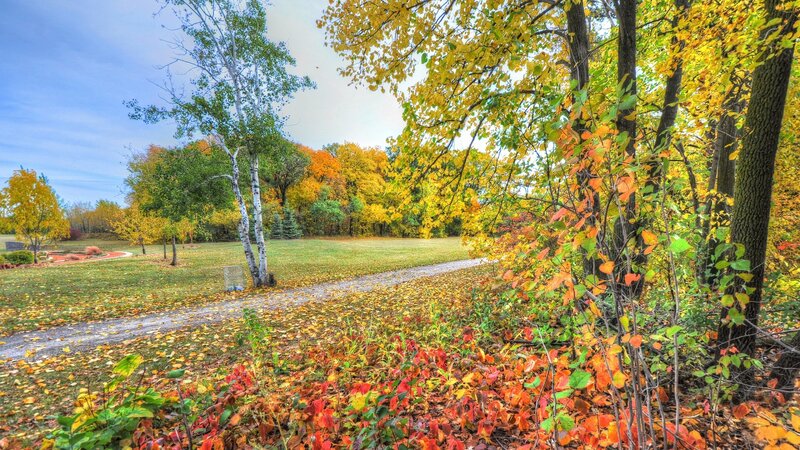 Autumn Park Path — Yellow, Serene, Photograph, Trees, Grass