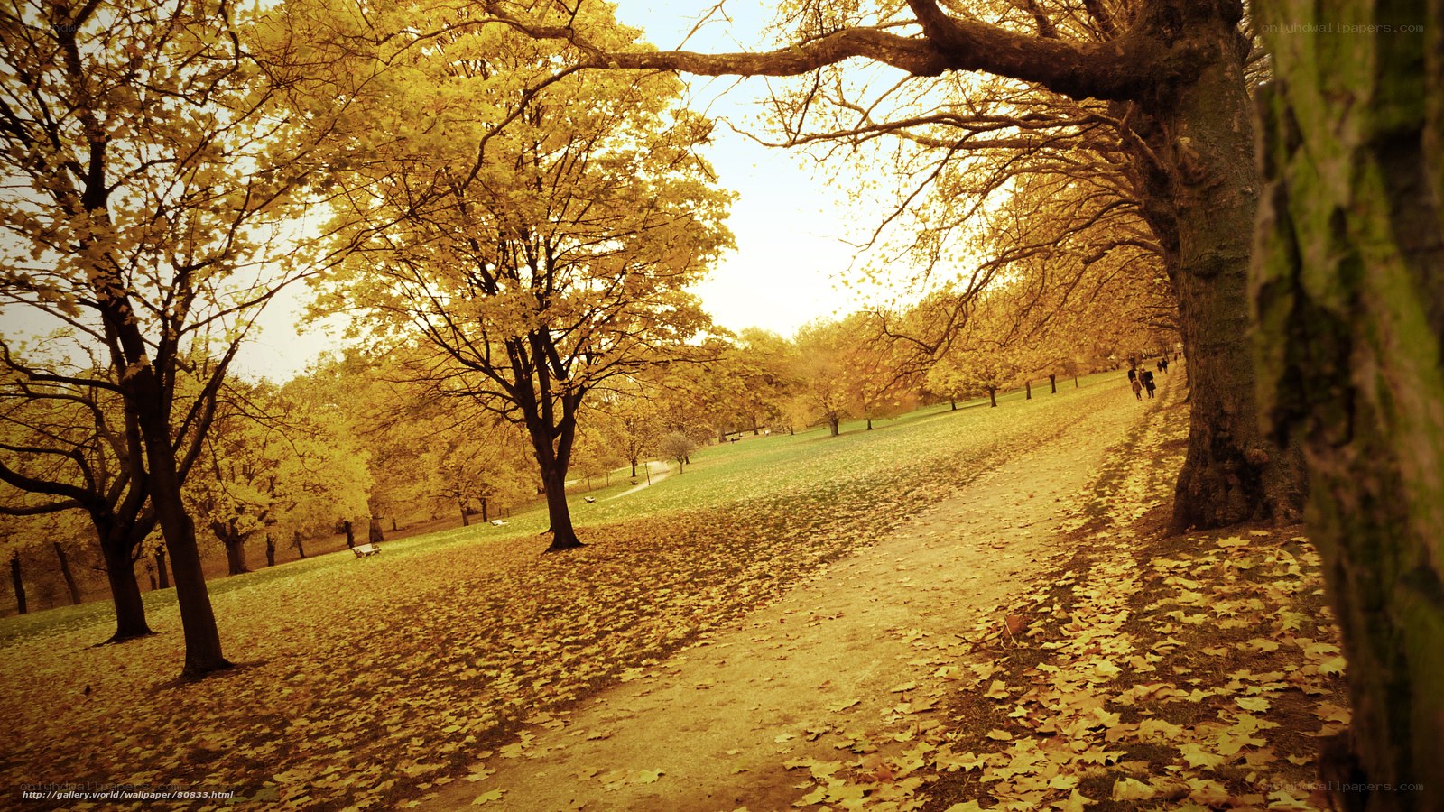 Autumn park path