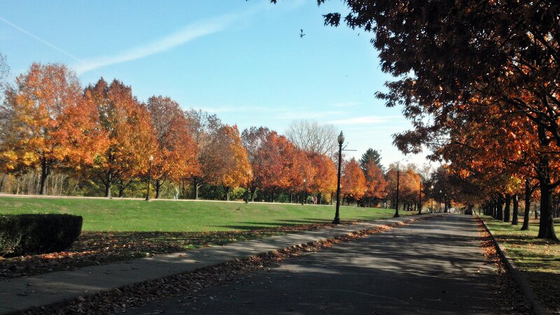 Autumn Park Pathway — Orange, Serene, Photograph