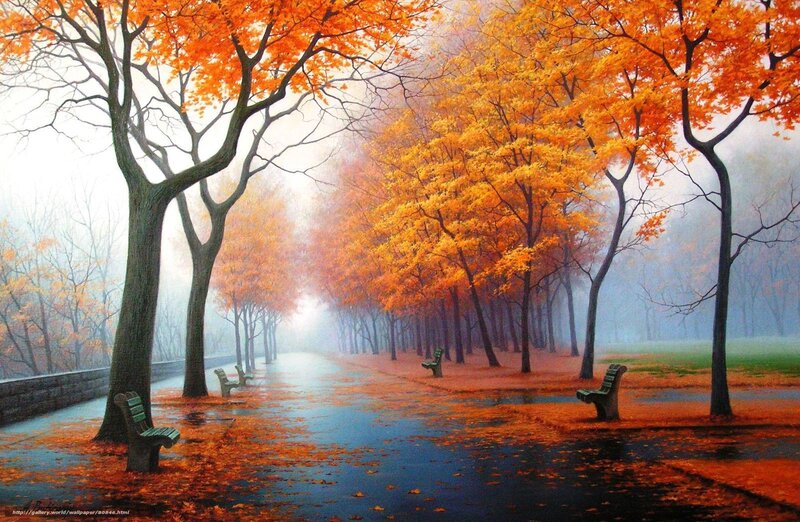 Autumn Park Pathway — Orange, Serene