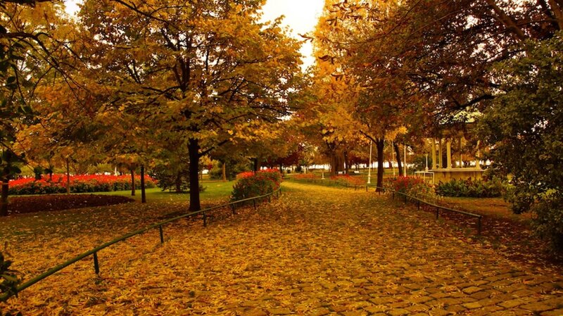 Autumn Park Pathway — Yellow
