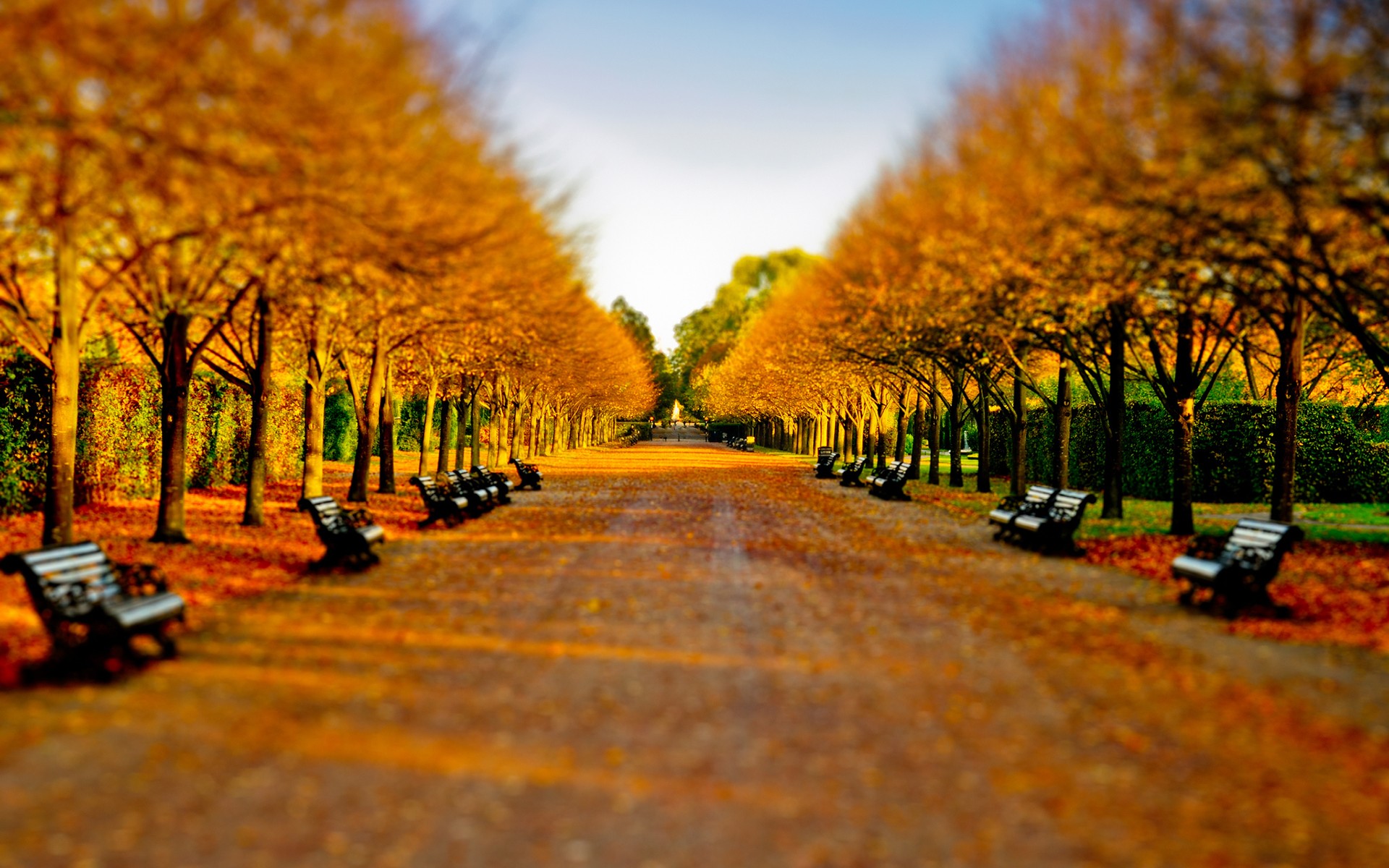 Autumn park pathway