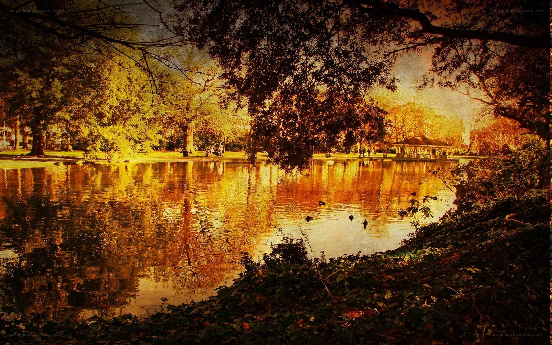 Autumn park pond scene