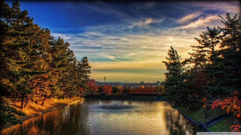 Autumn Park Pond