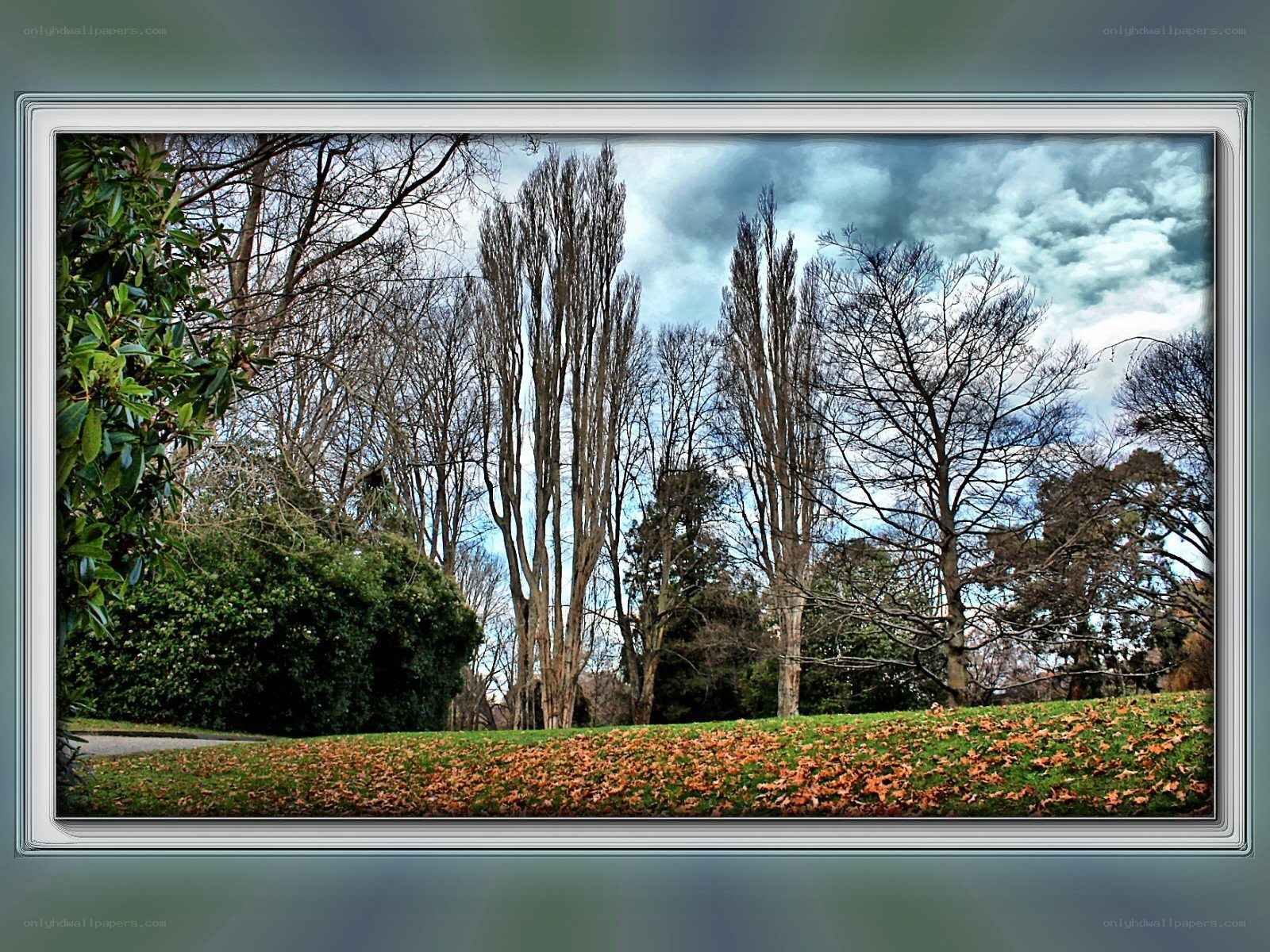 Autumn park with bare trees