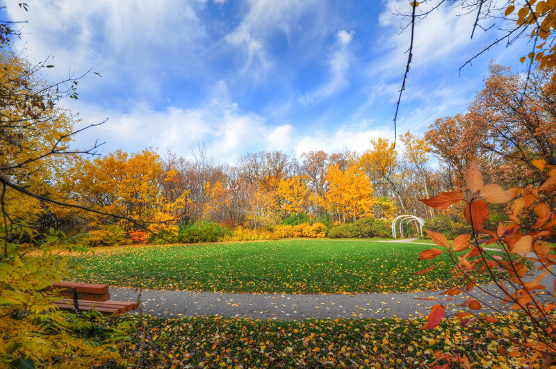 Autumn Park with Bench — Blue