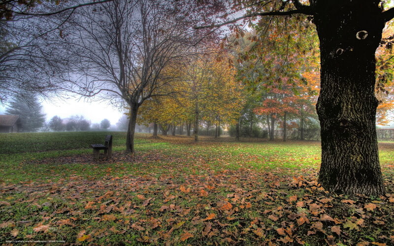 Autumn Park with Bench — Green, Serene