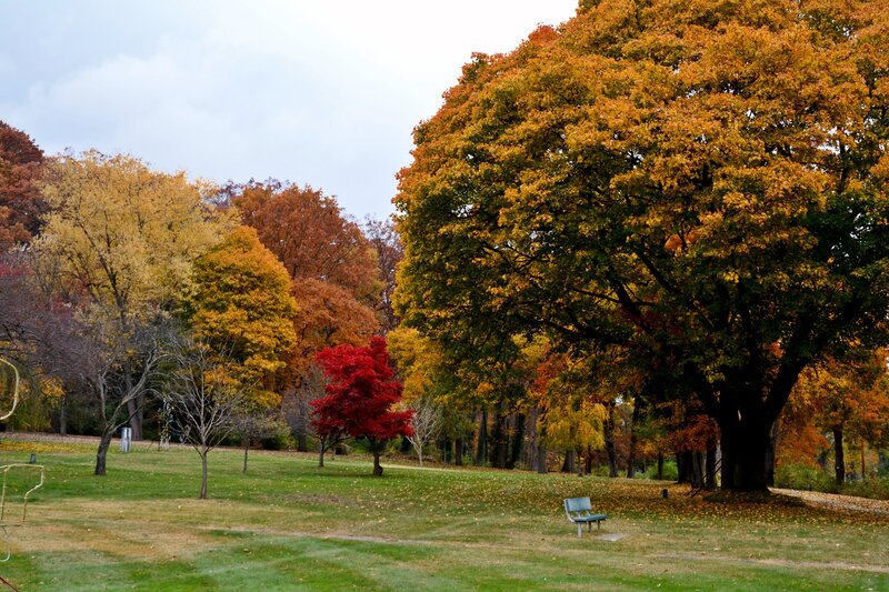 Autumn Park with Bench — Green