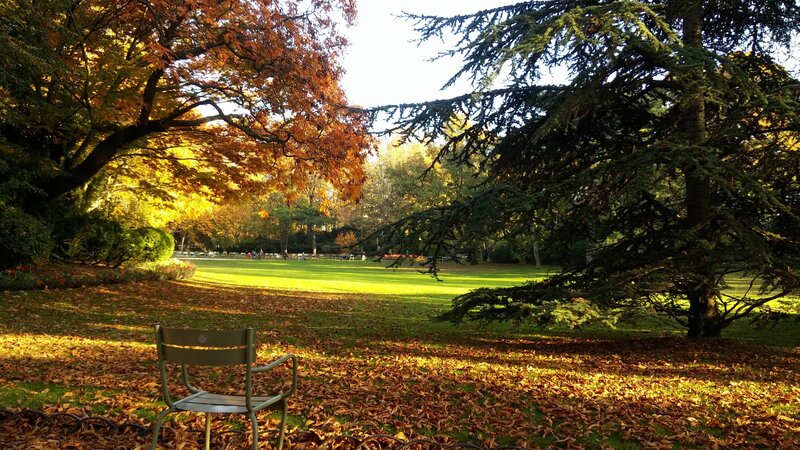 Autumn park with bench