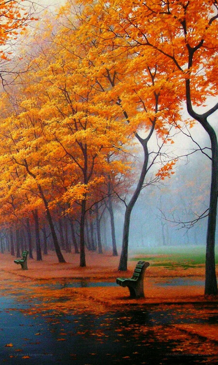 Autumn park with benches