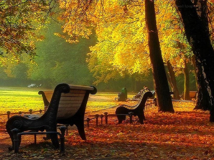 Autumn park with benches