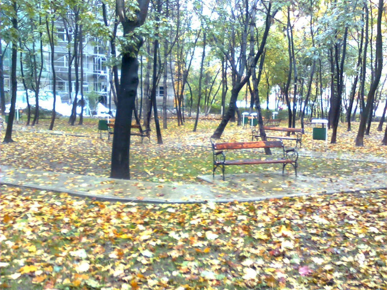 Autumn park with benches