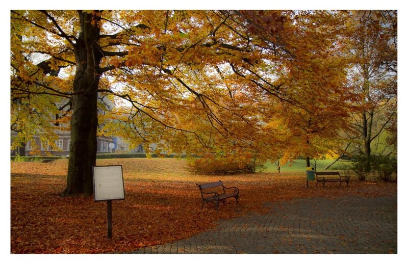 Autumn Park with Benches — Orange, Serene