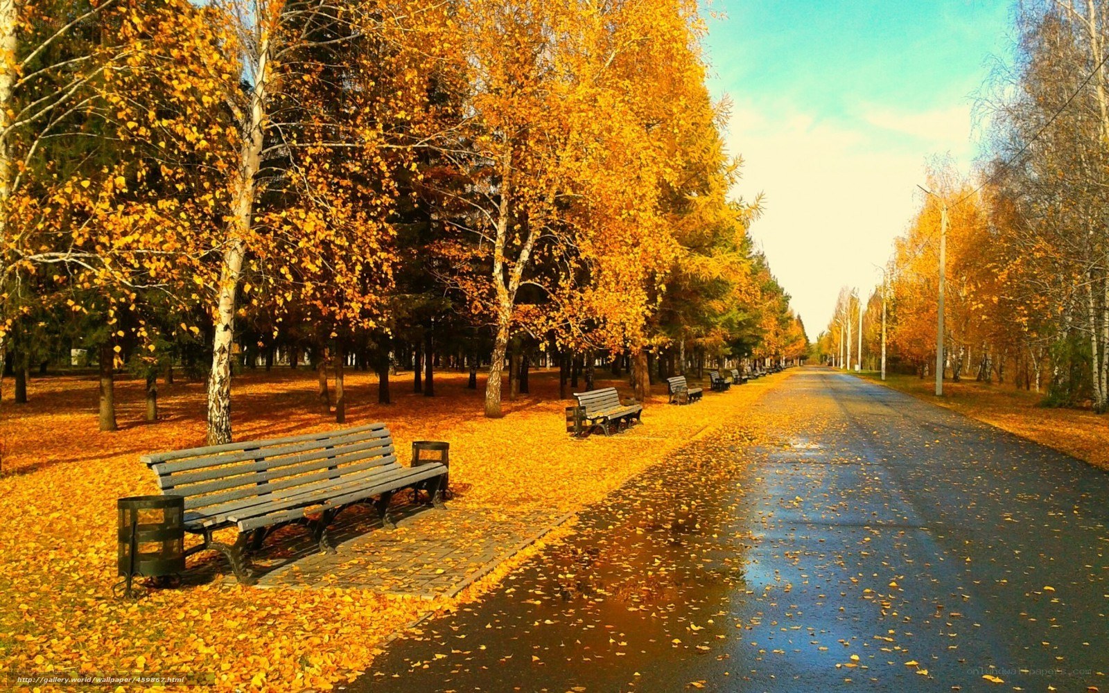 Autumn park with benches