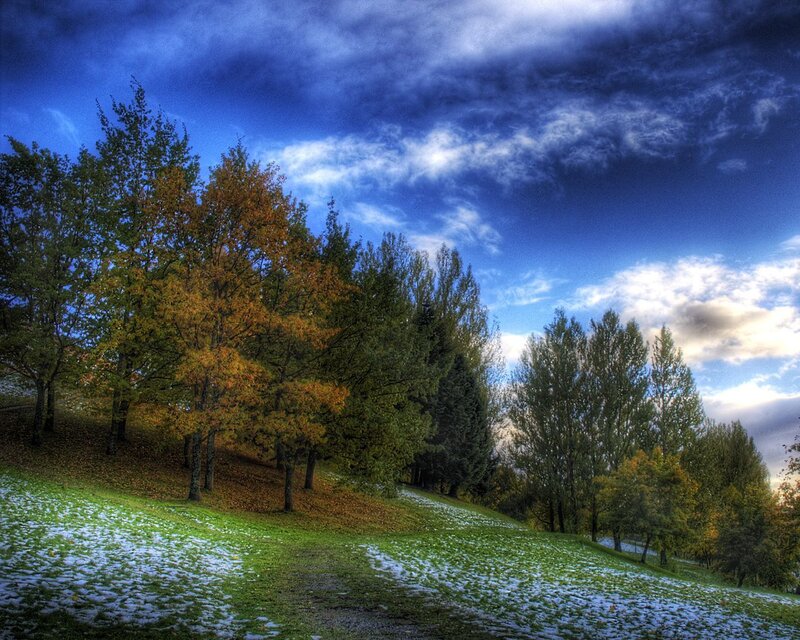 Autumn park with blue sky