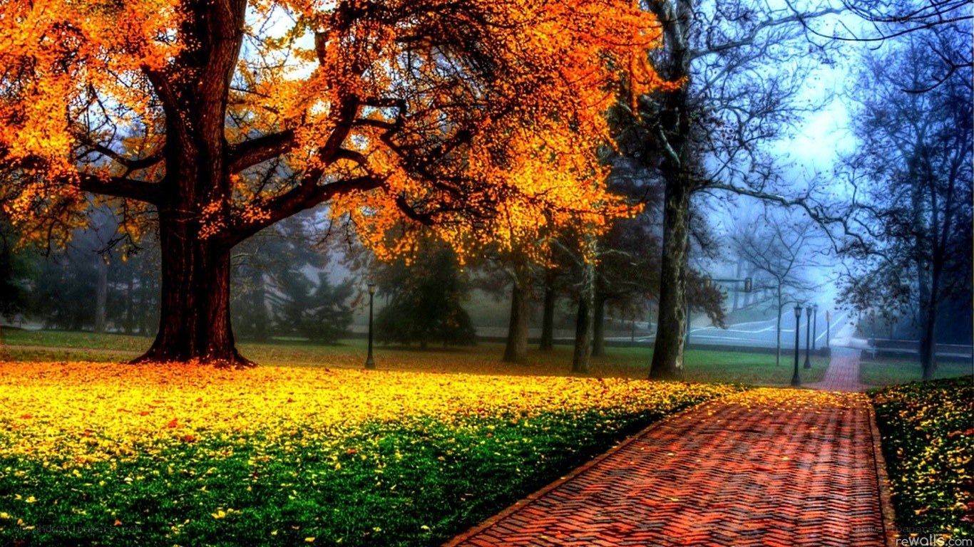 Autumn park with brick path
