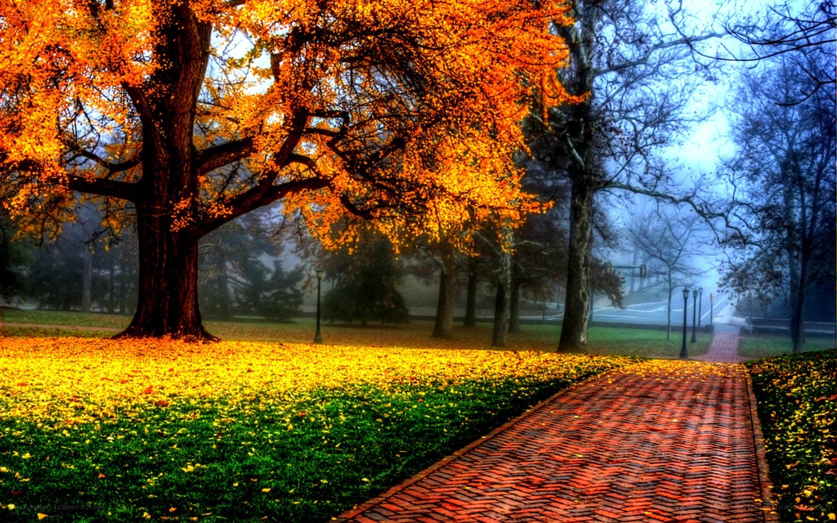 Autumn park with brick path