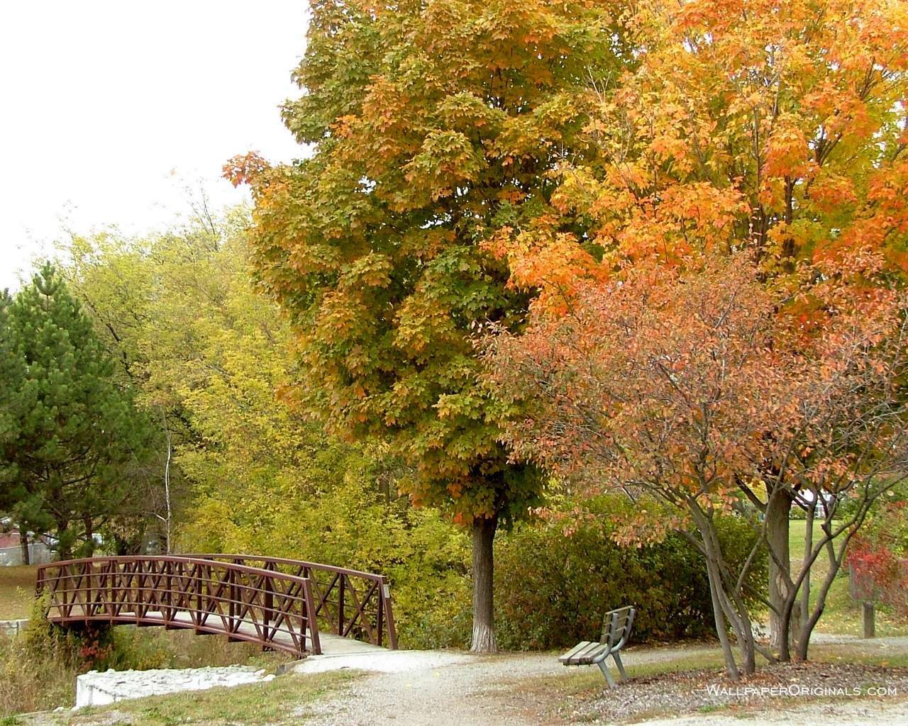 Autumn park with bridge
