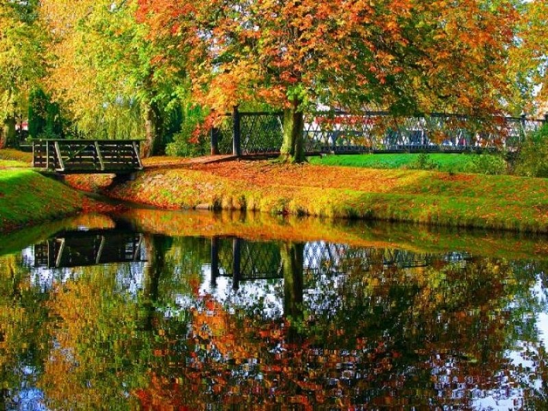 Autumn park with bridge