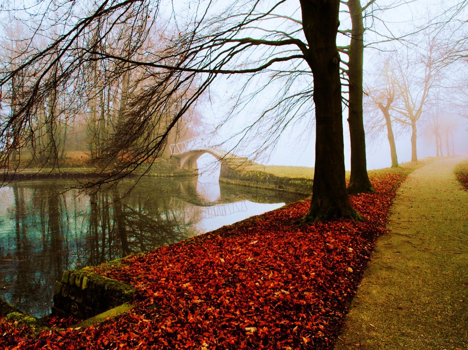 Autumn park with bridge