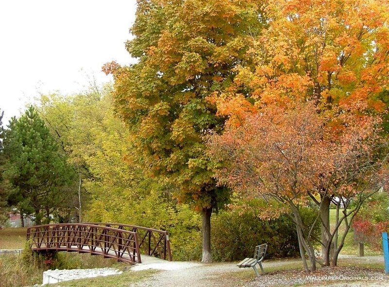 Autumn park with bridge