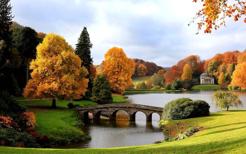 Autumn Park with Bridge — Green, Serene