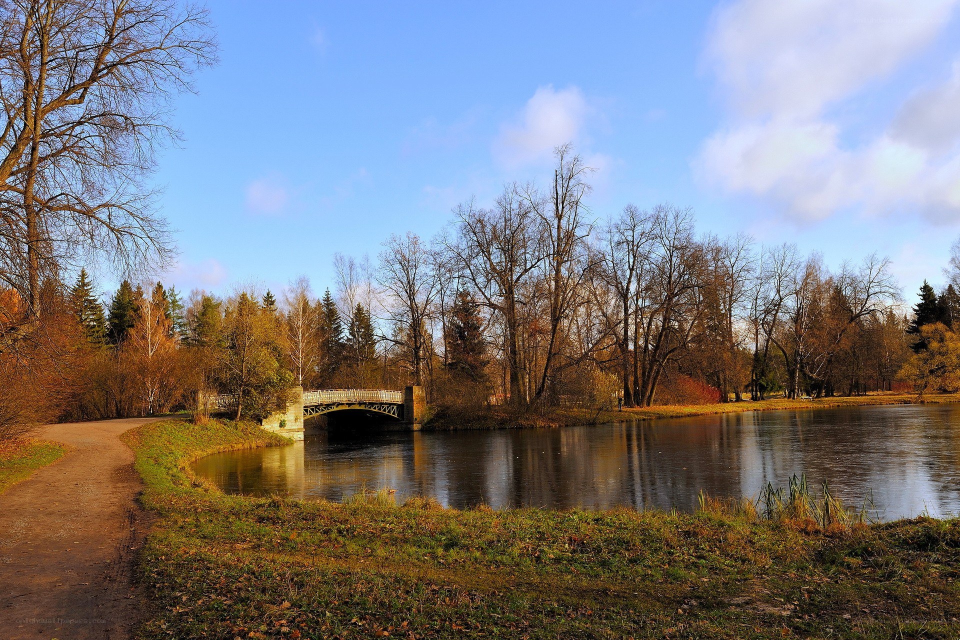 Autumn park with bridge