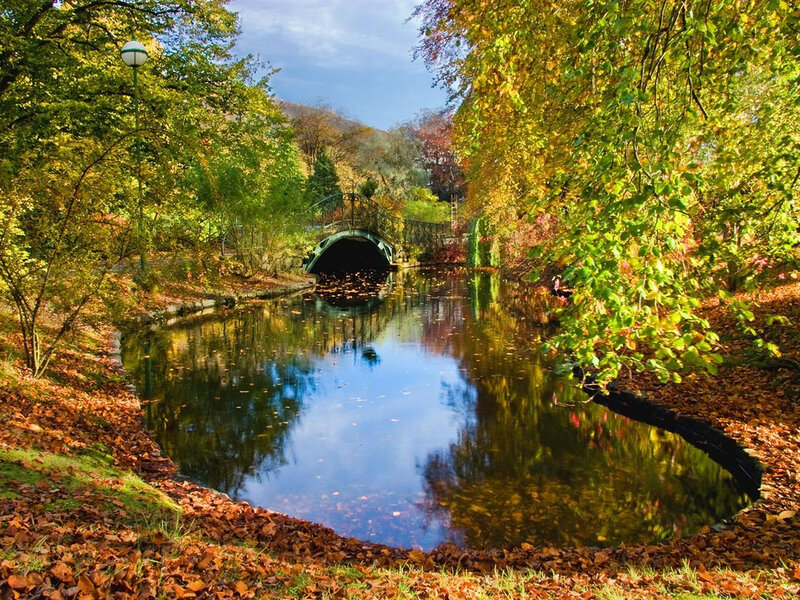 Autumn park with canal and bridge
