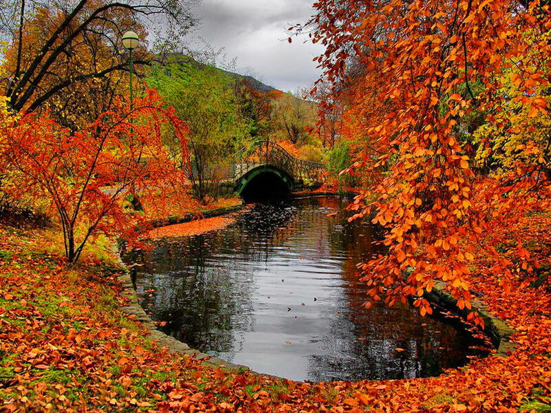 Autumn Park with Canal — Orange