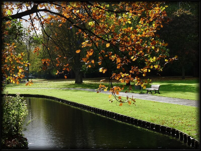 Autumn park with canal