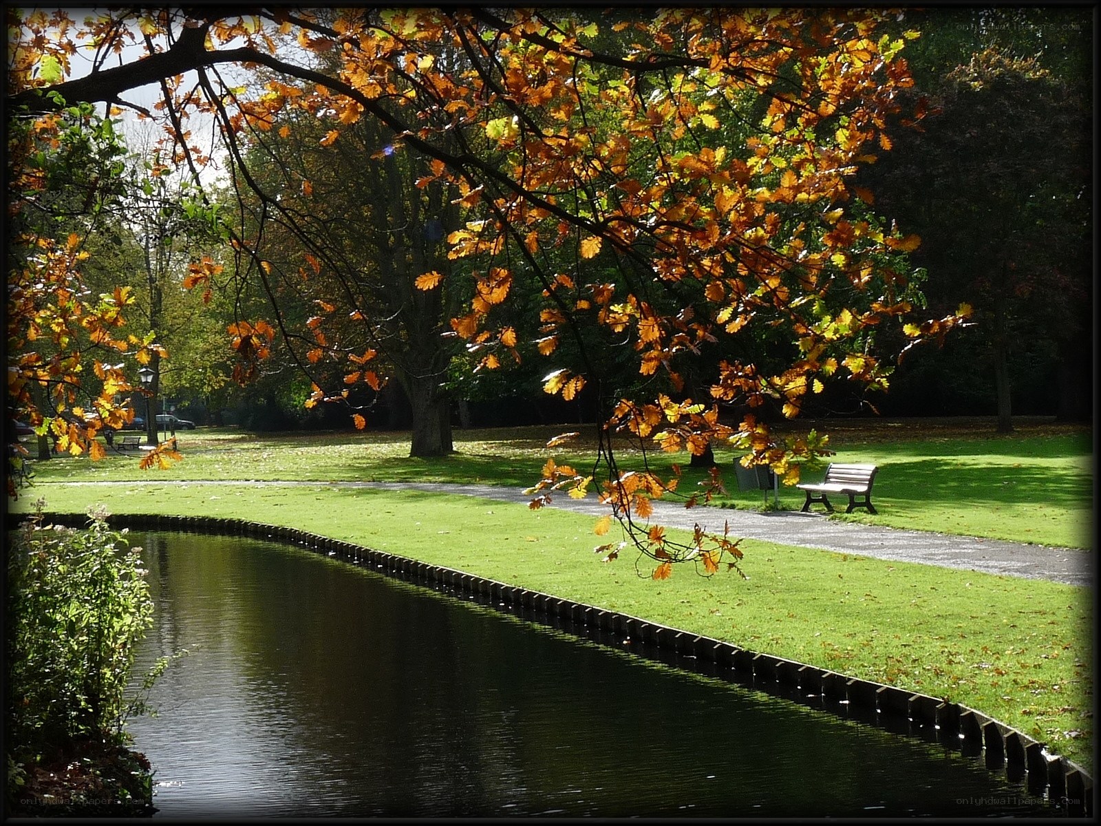 Autumn park with canal