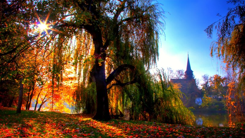 Autumn park with church