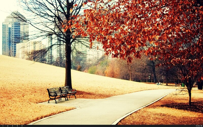 Autumn park with city skyline