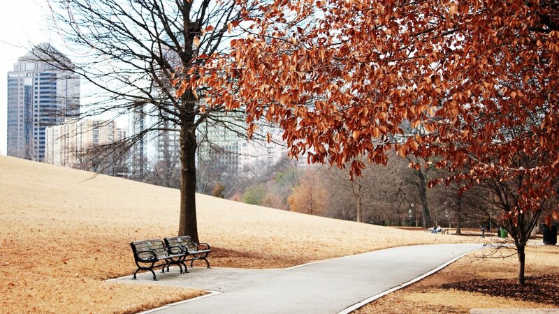 Autumn park with city skyline